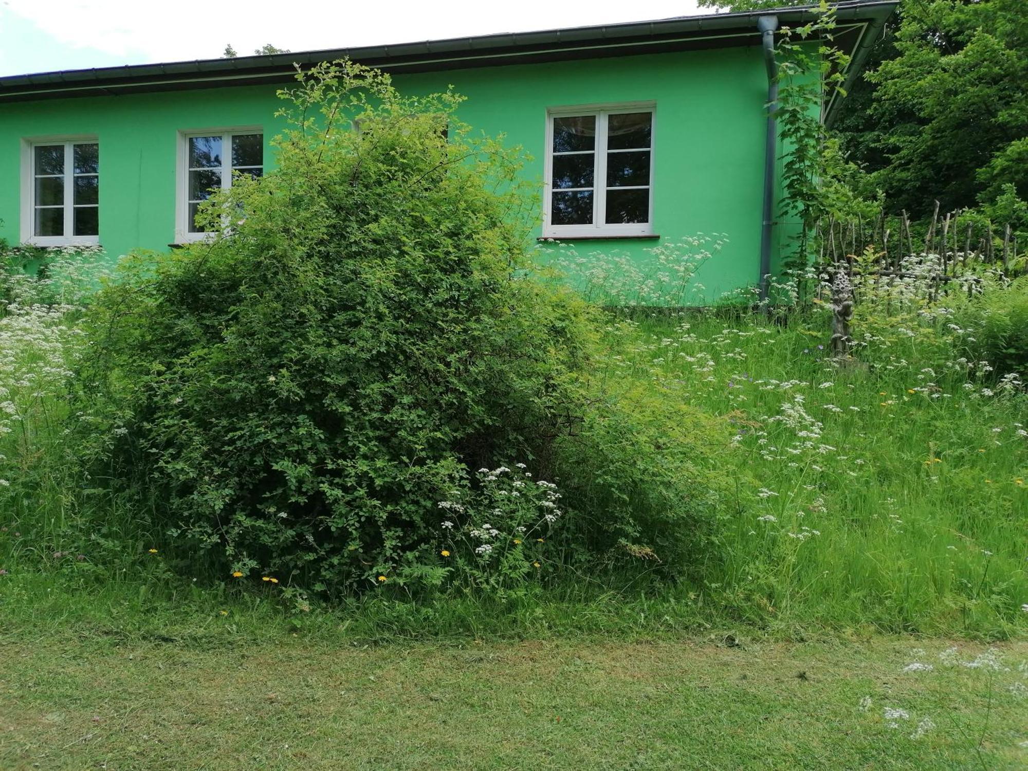 Hotel Kraeuterbaude Saupsdorf Exteriér fotografie